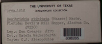 Image Associated With the Occurence